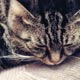 Giò dorme